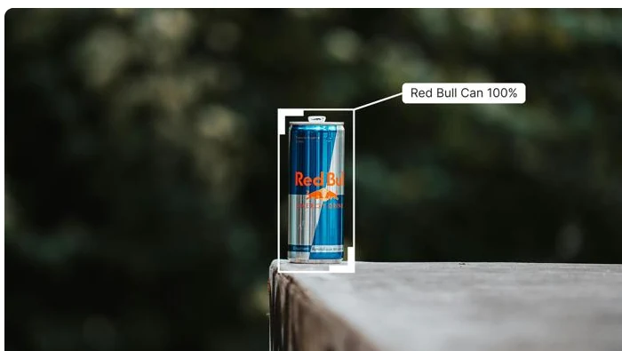 Object detection example on a can